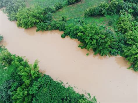 Premium Photo Aerial View River Flood Forest Nature Woodland Area