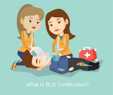 What Is BLS Certification ProCPR Cpr Training Basic Life Support Emergency Medical Technician