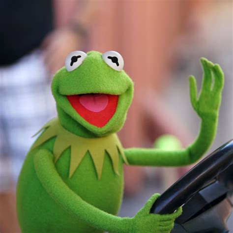 Frog Profile Pic Kermit The Frog On Twitter Just Wanted To Hop Into Your Feed And Say