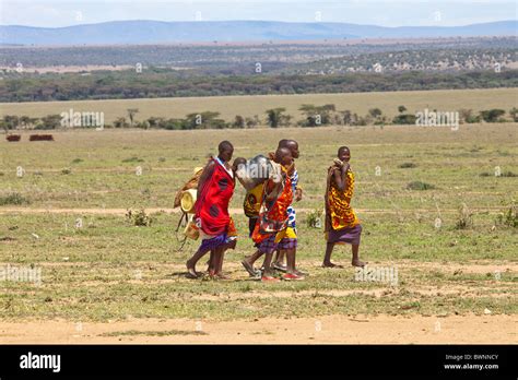 Maasai Women Carrying Fresh Water To Their Village On The Masai Mara