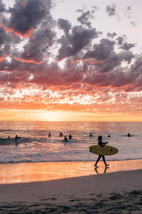 Surfers On Beach At Sunset · Free Stock Photo