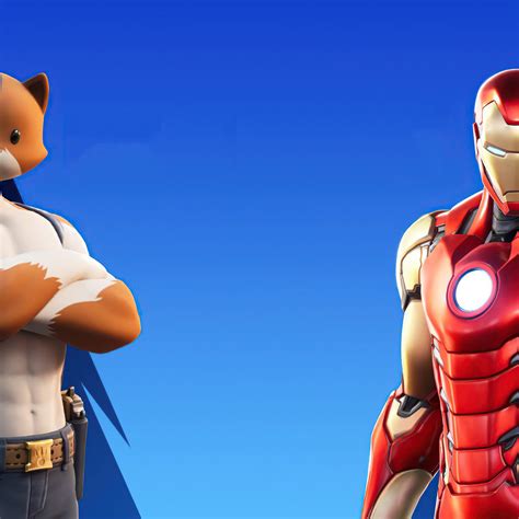 2048x2048 Iron Man And Meowscles In Fortnite Ipad Air HD 4k Wallpapers ...