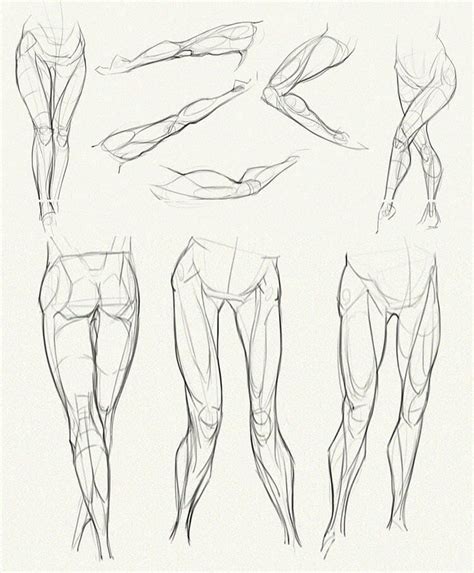 Human Anatomy Drawing Ideas And Pose References Beautiful Dawn Designs