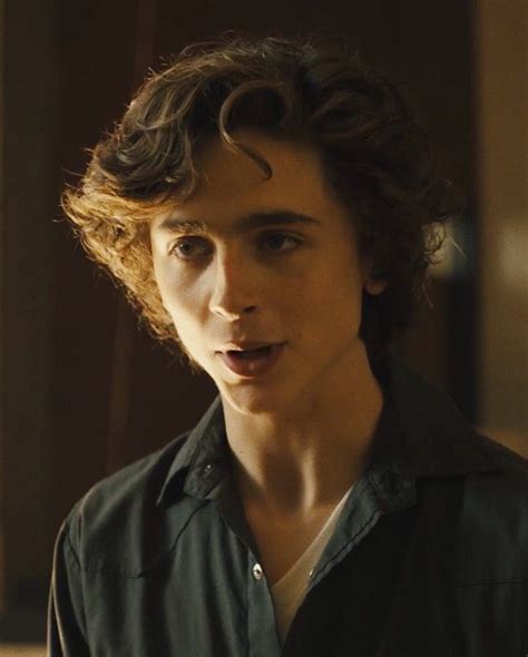 Timothée As Nic Sheff In ‘beautiful Boy ️ Based On The Memoir