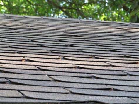 Curling Roof Shingles Tallahassee Real Estate Inspections