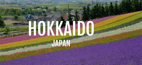 • 663 просмотра 1 год назад. Hokaido - JA Travel & Tours Sdn Bhd