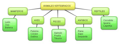Mercaillo Mapa Conceptual Animales Vertebrados