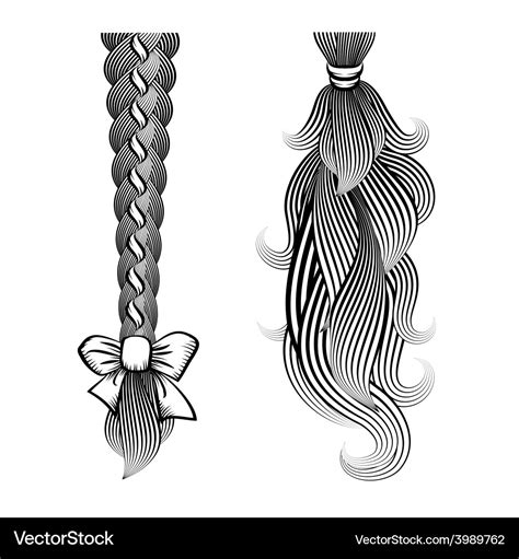 Loose Hair In A Plait And Ponytail Royalty Free Vector Image