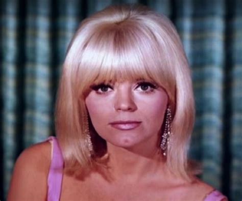 What Plastic Surgery Has Carol Wayne Done Plastic Surgery Bio