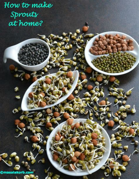 How To Make Sprouts At Home Masalakorb