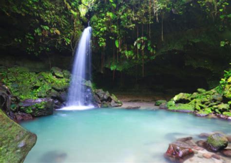 the best emerald pool tours and tickets 2020 dominica viator