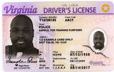 Dmv Drivers License Number Photos