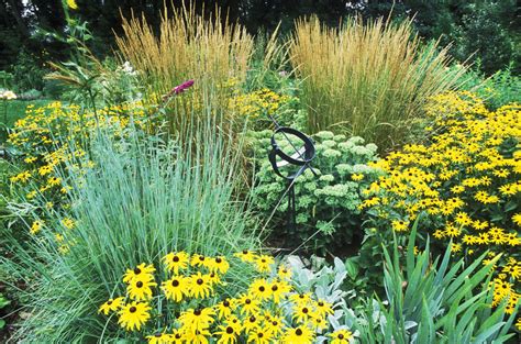 These Are The Best Ornamental Grasses For Your Garden Ornamental