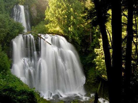 Marion Falls Oregon Waterfalls Oregon Travel Waterfall