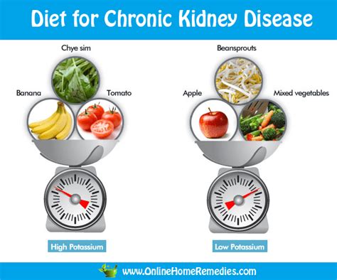 Diet For Renal Failure Patients