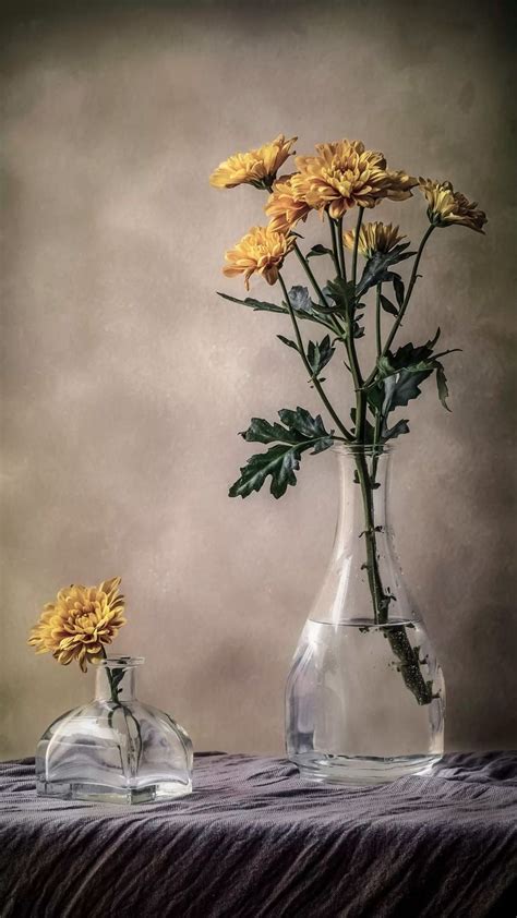 Pin By George Beredjiklian On Nature Glass Vase Vase Glass