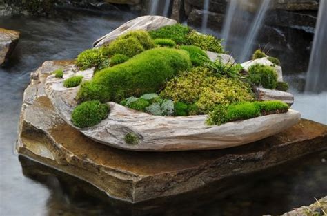 11 Diy Indoor Moss Garden Ideas Thuy San Plus