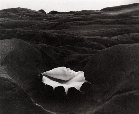Imperfect Impermanent And Incomplete — Shell Photography By Edward