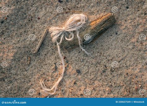 Twig And Thread On The Sandy Beach Stock Image Image Of Sand Summer