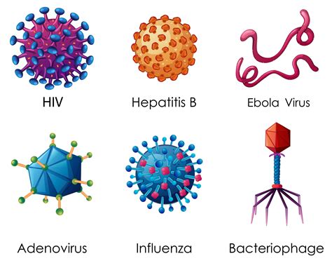 Six Types Of Viruses On White Background 413551 Vector Art At Vecteezy