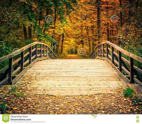 Bridge In Autumn Forest Stock Image Image Of Beauty 77494685