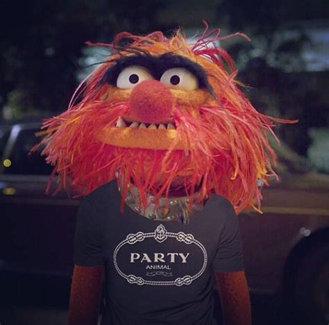 Literally A Party Animal Animal Muppet The Muppets Characters The