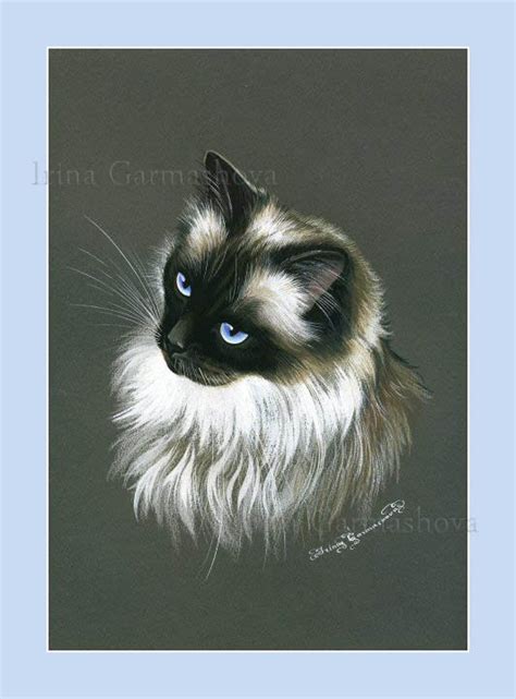 Here presented 50+ ragdoll cat drawing images for free to download, print or share. Ragdoll Cat Print Ragdoll 3 by Irina Garmashova | eBay ...