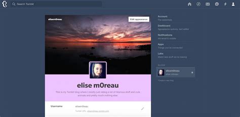 How To Use Tumblr For Blogging And Social Networking