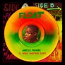 ‎Float (DJ Moma Amapiano Remix) - Single by Janelle Monáe on Apple Music