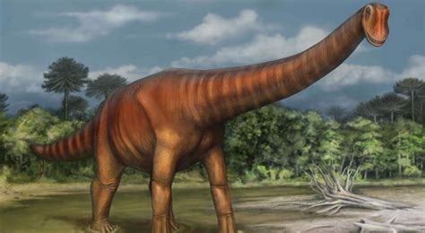 Los mayores de ellos fueron los animales más gigantescos que jamás existieran sobre la tierra. El dinosaurio que necesitó tres campañas para revelarse ...