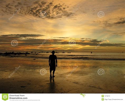 Man In The Sunset On The Beach In Costa Rica Stock Photos