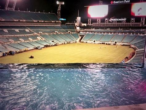 Check spelling or type a new query. PHOTO: What Pool Side at a Jacksonville Jaguars Game Will Look Like This Season | FatManWriting ...