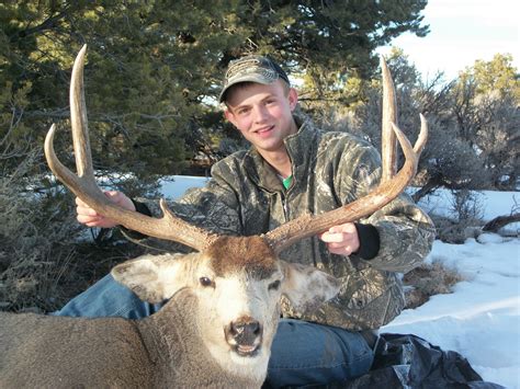 Big Horn Outfitters New Mexico Mule Deer Hunting And Hunts Big Horn