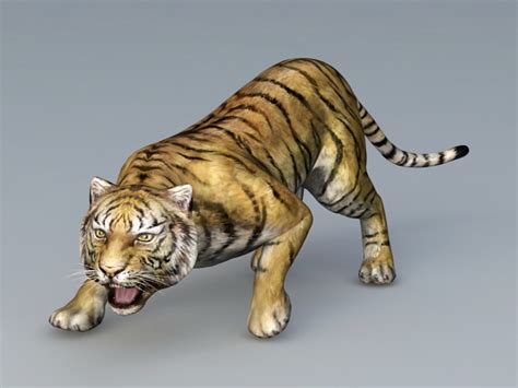 Tiger 3d Model Free Download Pantyane