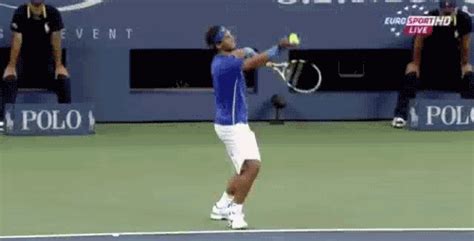 Explore and share the best novak djokovic gifs and most popular animated gifs here on giphy. Third Set of the 2011 US Open Final, as Told in GIFs