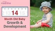 14 Month Old Baby - Growth, Development, Activities & Care Tips - YouTube