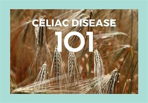 Celiac Disease 101 A Beginners Guide To Healing Celiac Disease