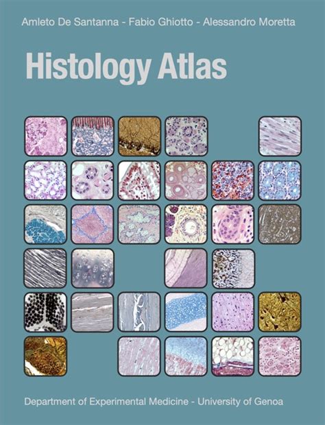 Download Histology Atlas By Amleto De Santanna Fabio Ghiotto