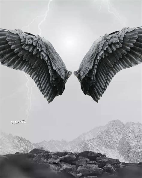 Cb Picsart Wings Background Hd For Editing Erase The Grey