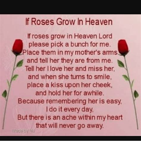 Heaven Love And Memes If Roses Grow In Heaven If Roses Grow In