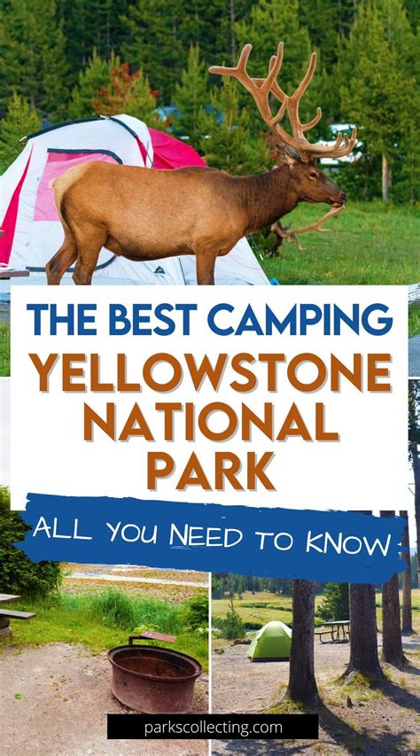 The Best Camping Yellowstone National Park All You Need To Know Artofit
