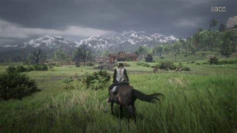 In total there are 15 different wild horse breeds in red dead redemption 2, six of them being rare breeds. Buckskin Brindle Horse Rdr2 - The Best Horses In Red Dead Online Gamepur - Your horse is your ...