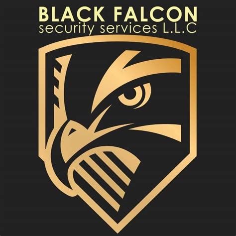 black falcon security services l l c