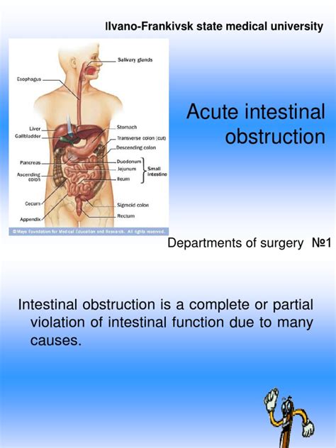 Acute Intestinal Obstruction Pdf Gastrointestinal Tract