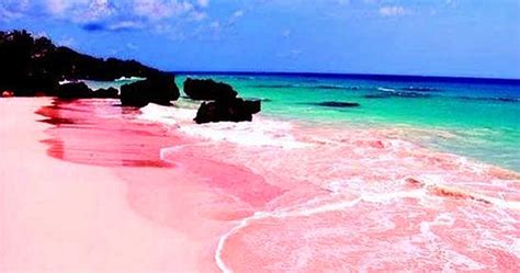 Top 10 Pink Wonders Of The Natural World Listverse