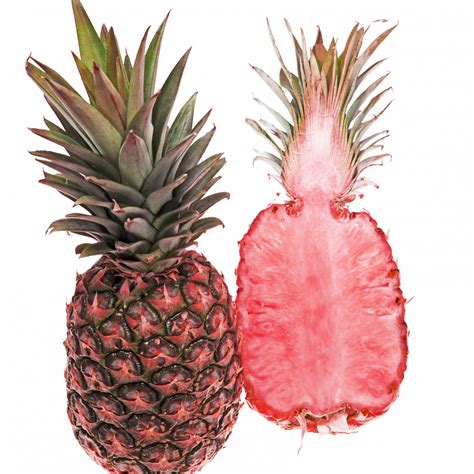Genetically Modified Pink Fleshed Rosé Pineapples Are Safe Says Fda