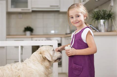 Menina Alimentando Cão Com Iogurte — Casa Produtos Lácteos Stock