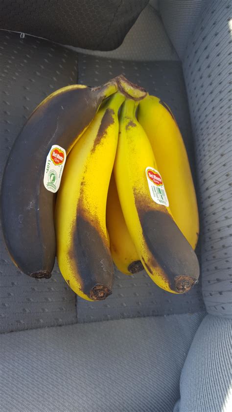 These Sunburnt Bananas Rmildlyinteresting