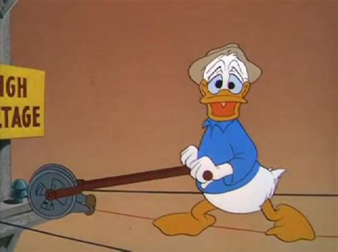 Image Donald Duck Out On A Limb 195043 Disney Wiki Fandom