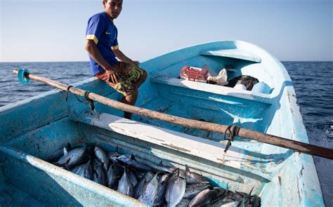 Contaminación Y Pesca Ilegal Pone En Riesgo A Las Especies Marinas